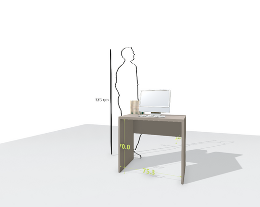 MAIN DESK