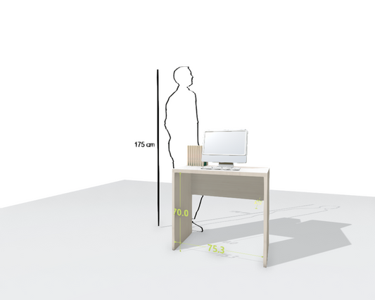 MAIN DESK