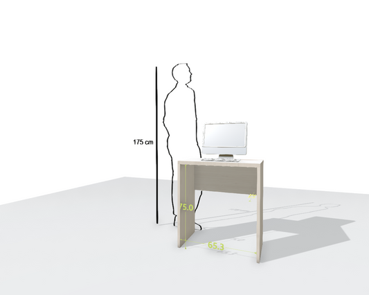 MAIN DESK