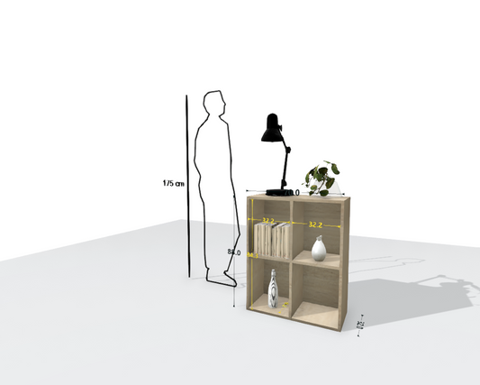 MAIN SHELF