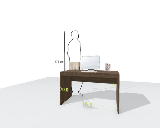 MAIN DESK