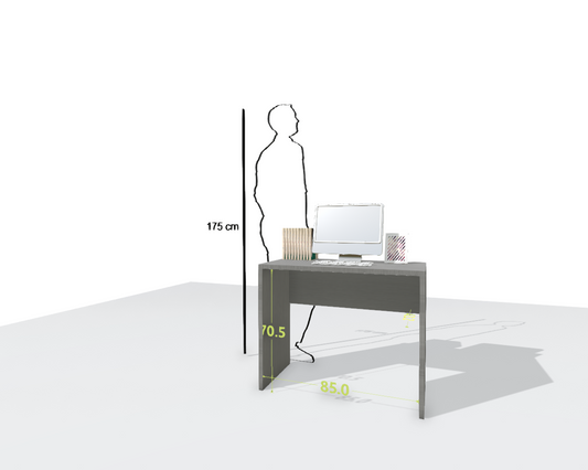 MAIN DESK