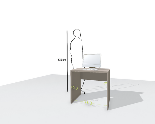 MAIN DESK