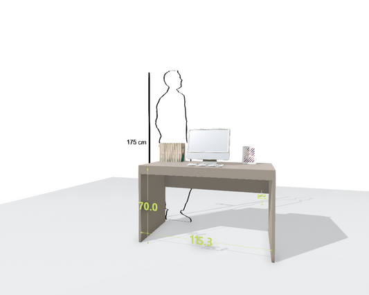 MAIN DESK