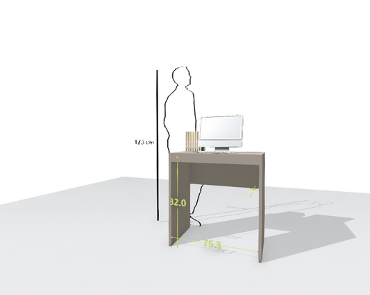 MAIN DESK