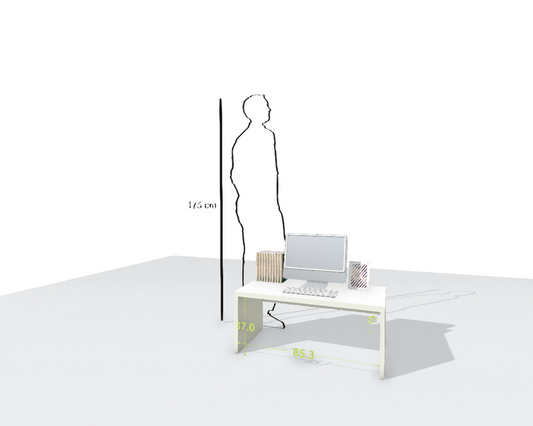 MAIN DESK