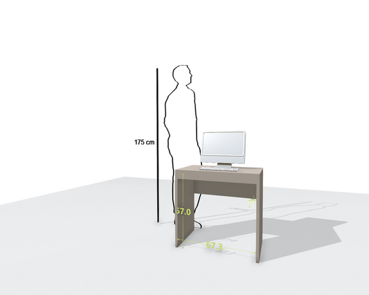 MAIN DESK