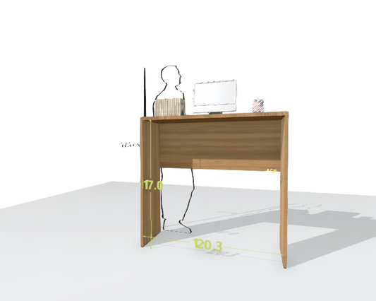 MAIN DESK
