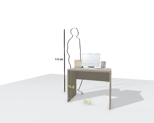 MAIN DESK