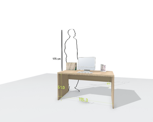 MAIN DESK
