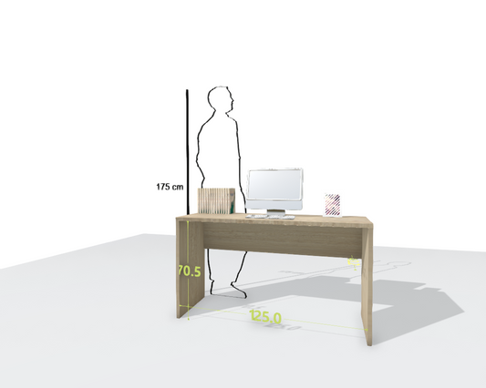 MAIN DESK