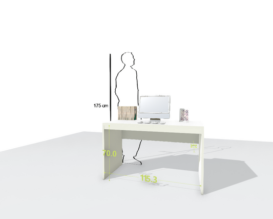 MAIN DESK