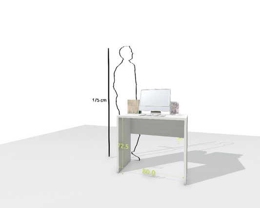 MAIN DESK