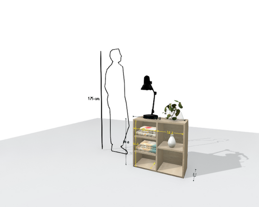 MAIN SHELF