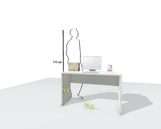 MAIN DESK