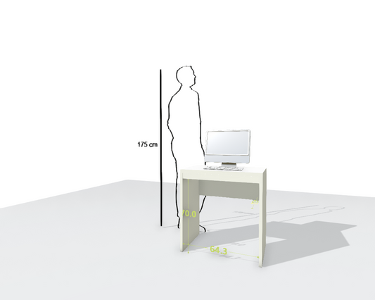 MAIN DESK