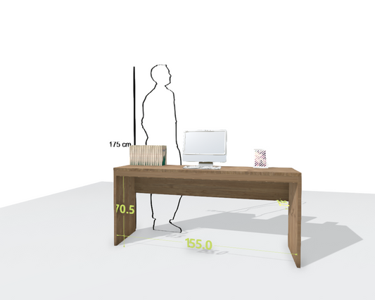 MAIN DESK