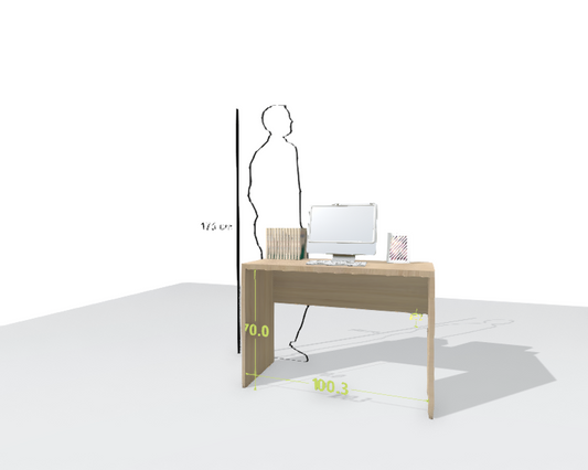 MAIN DESK