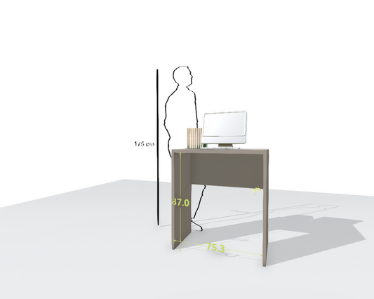 MAIN DESK