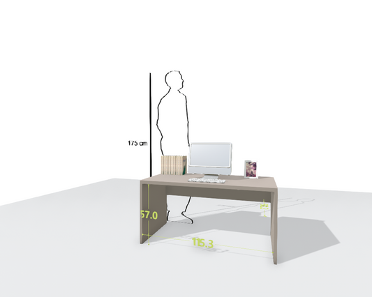 MAIN DESK