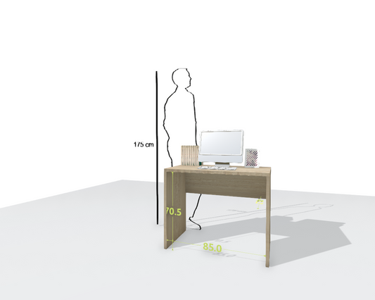 MAIN DESK