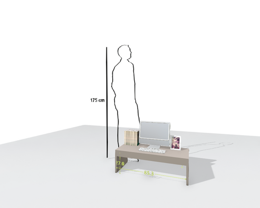 MAIN DESK