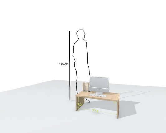 MAIN DESK