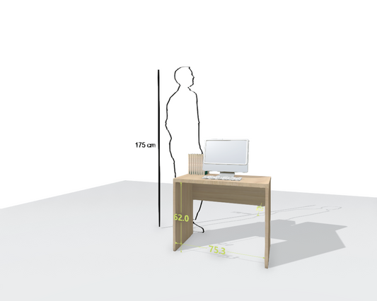 MAIN DESK