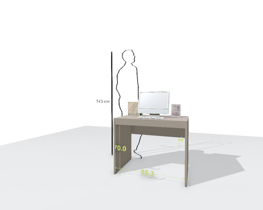 MAIN DESK