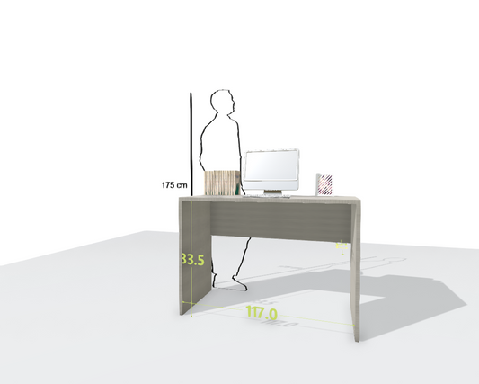 MAIN DESK