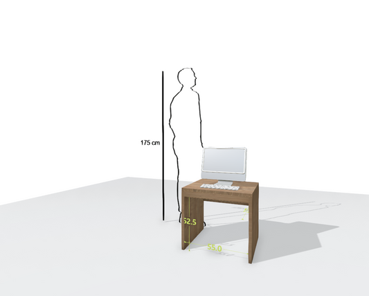 MAIN DESK