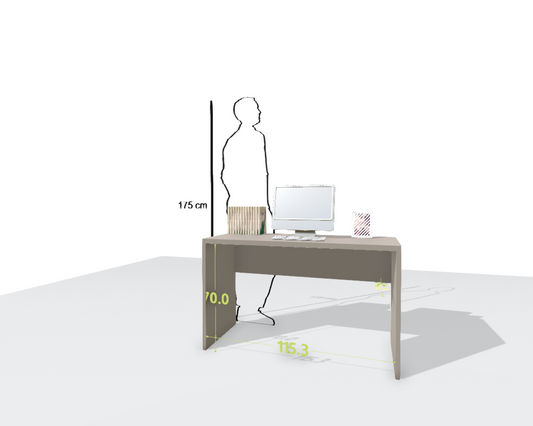 MAIN DESK