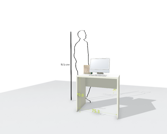 MAIN DESK
