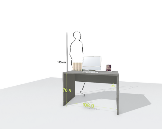 MAIN DESK