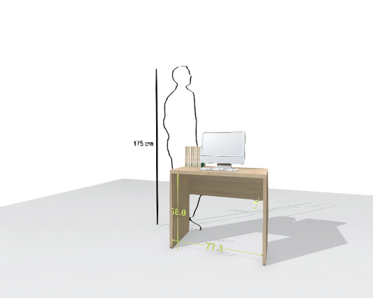 MAIN DESK