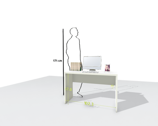 MAIN DESK