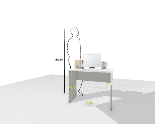 MAIN DESK