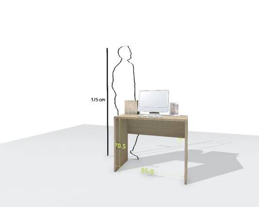 MAIN DESK