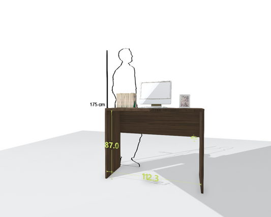 MAIN DESK