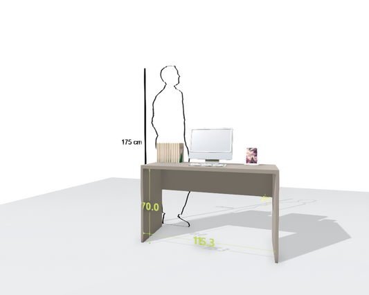 MAIN DESK