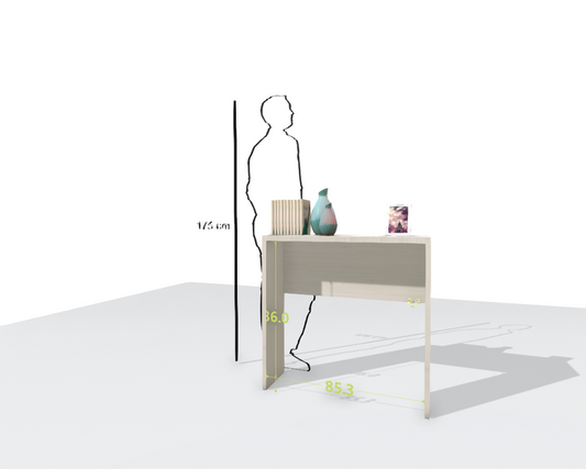 MAIN DESK