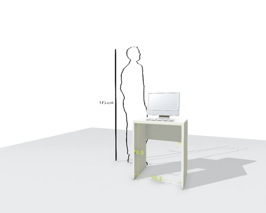 MAIN DESK