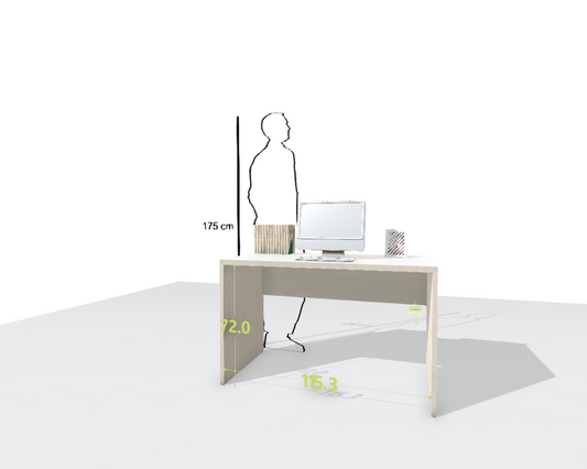 MAIN DESK