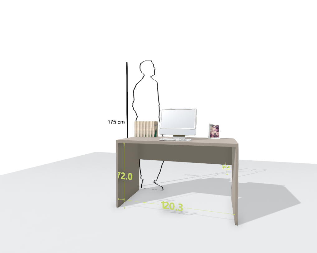 MAIN DESK