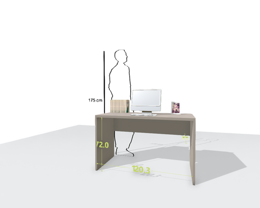 MAIN DESK