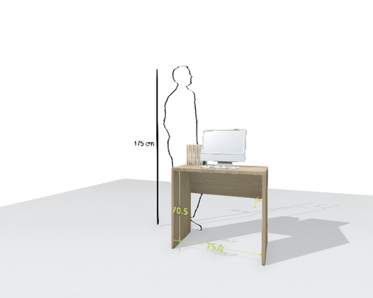 MAIN DESK