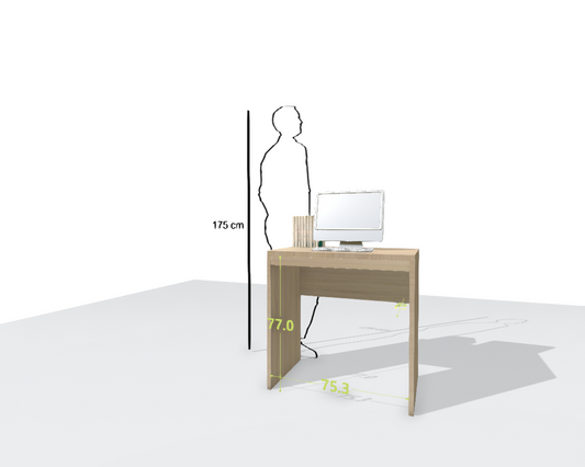 MAIN DESK