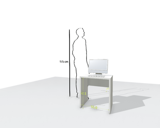 MAIN DESK