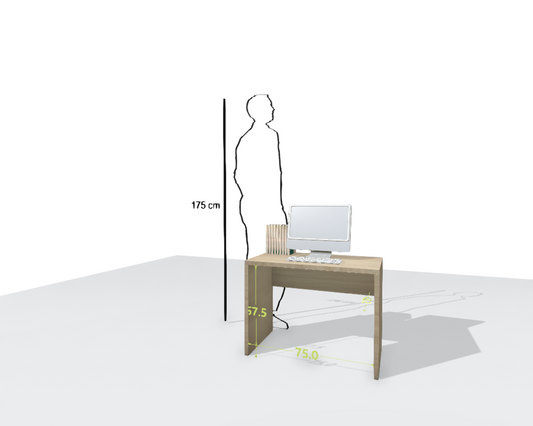 MAIN DESK