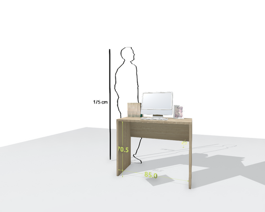 MAIN DESK